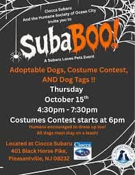 SubaBOO🚙🎃