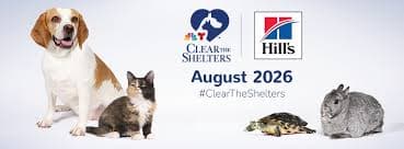 Clear the Shelters
