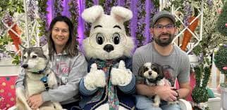 Pet Photos with the Easter Bunny