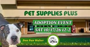 ONE LOVE ANIMAL RESCUE ADOPTION EVENT