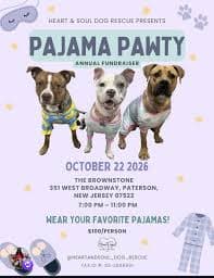 Pajama Paw-Ty Tricky Tray