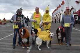 Dog Days on the Ocean City Boardwalk