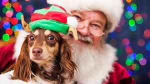 Pet Photos with Santa