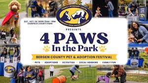 4 Paws in the Park | Pet & Adoption Festival