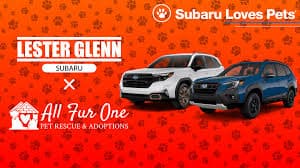 Subaru Loves Pets | Pet Adoption, Costume Contest & More!