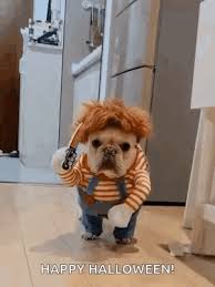 HALLOWEEN COSTUME CONTEST