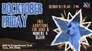 Rocktober Friday: Pitties & Friends FREE Adoption Fest (DOGS ONLY)