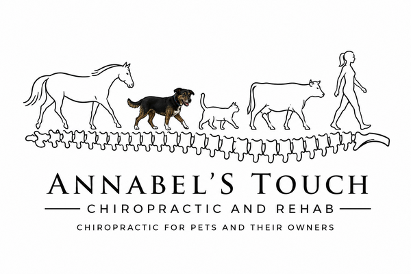 Annabel's Touch Chiropractic logo
